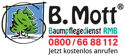 Baumpflege Mott
